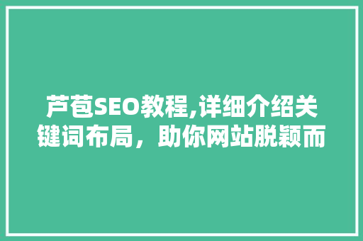 芦苞SEO教程,详细介绍关键词布局，助你网站脱颖而出