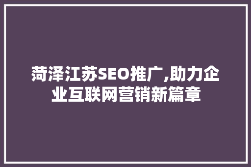 菏泽江苏SEO推广,助力企业互联网营销新篇章
