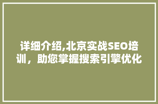 详细介绍,北京实战SEO培训，助您掌握搜索引擎优化核心技术
