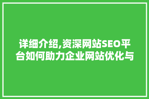 详细介绍,资深网站SEO平台如何助力企业网站优化与排名提升