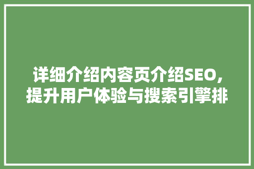 详细介绍内容页介绍SEO,提升用户体验与搜索引擎排名的关键步骤