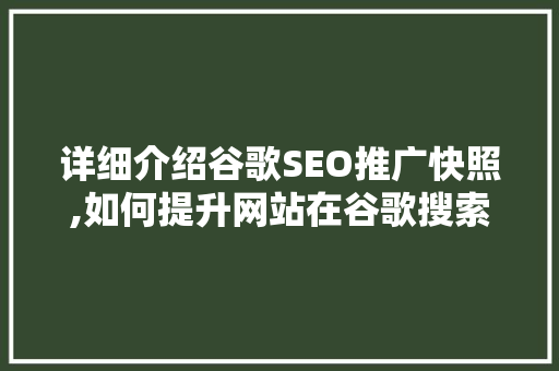 详细介绍谷歌SEO推广快照,如何提升网站在谷歌搜索结果中的排名