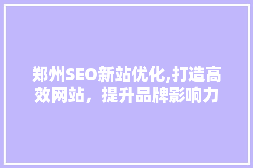 郑州SEO新站优化,打造高效网站，提升品牌影响力