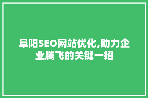 阜阳SEO网站优化,助力企业腾飞的关键一招