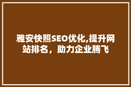 雅安快照SEO优化,提升网站排名，助力企业腾飞
