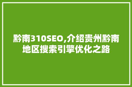黔南310SEO,介绍贵州黔南地区搜索引擎优化之路