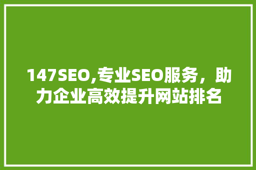 147SEO,专业SEO服务，助力企业高效提升网站排名