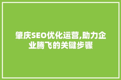 肇庆SEO优化运营,助力企业腾飞的关键步骤