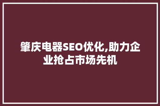 肇庆电器SEO优化,助力企业抢占市场先机