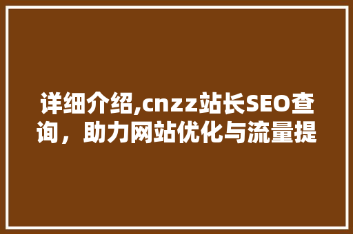 详细介绍,cnzz站长SEO查询，助力网站优化与流量提升