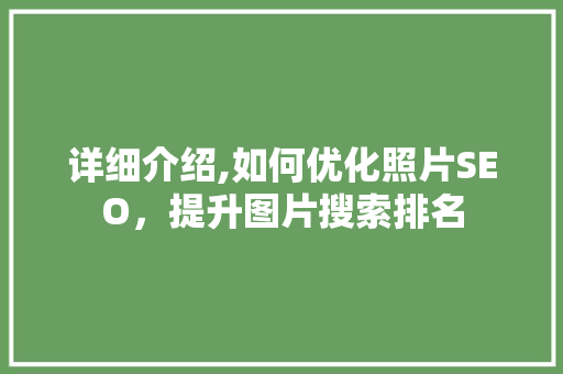 详细介绍,如何优化照片SEO，提升图片搜索排名
