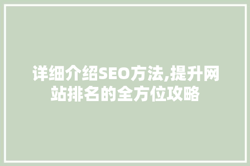 详细介绍SEO方法,提升网站排名的全方位攻略