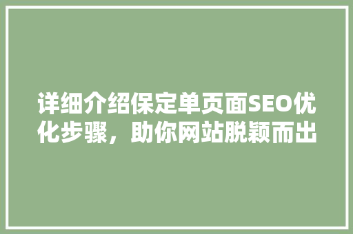 详细介绍保定单页面SEO优化步骤，助你网站脱颖而出