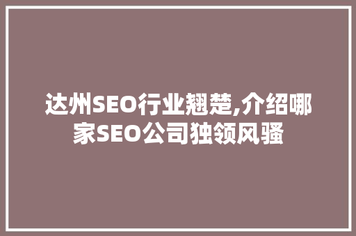 达州SEO行业翘楚,介绍哪家SEO公司独领风骚