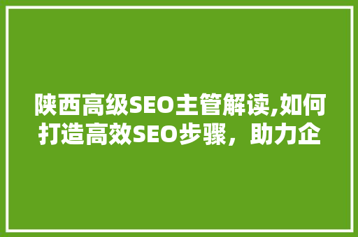 陕西高级SEO主管解读,如何打造高效SEO步骤，助力企业在线上崛起