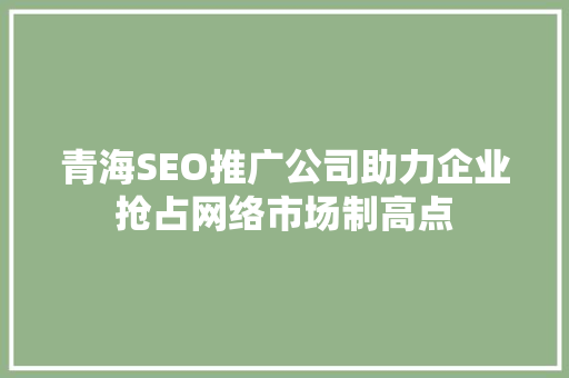 青海SEO推广公司助力企业抢占网络市场制高点