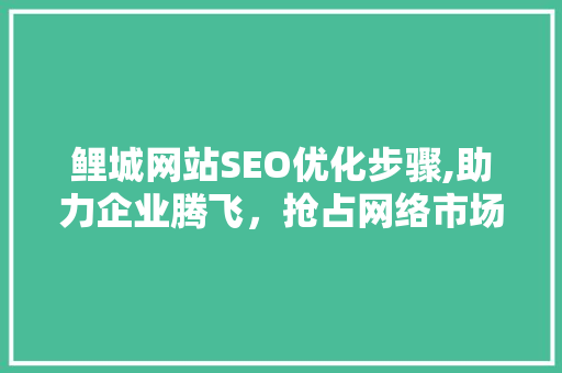 鲤城网站SEO优化步骤,助力企业腾飞，抢占网络市场先机