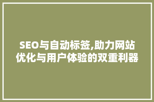 SEO与自动标签,助力网站优化与用户体验的双重利器