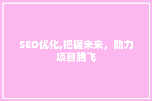 SEO优化,把握未来，助力项目腾飞