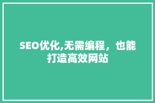 SEO优化,无需编程，也能打造高效网站