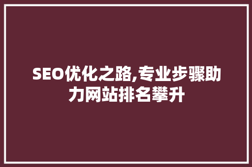SEO优化之路,专业步骤助力网站排名攀升