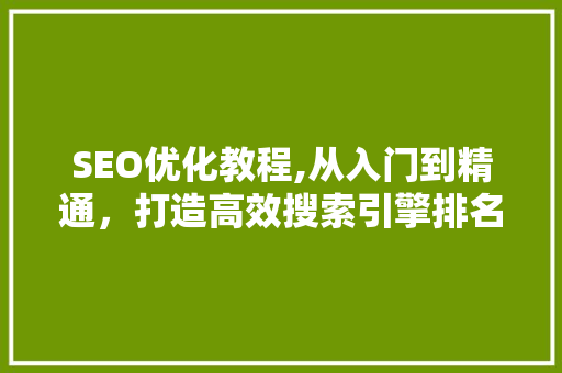 SEO优化教程,从入门到精通，打造高效搜索引擎排名步骤