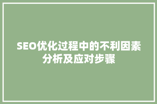 SEO优化过程中的不利因素分析及应对步骤