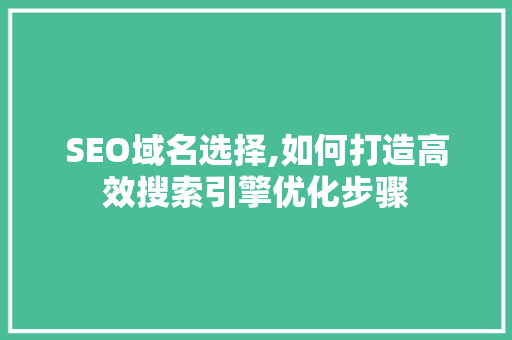 SEO域名选择,如何打造高效搜索引擎优化步骤