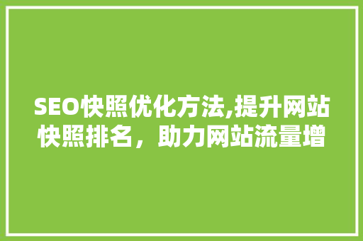 SEO快照优化方法,提升网站快照排名，助力网站流量增长