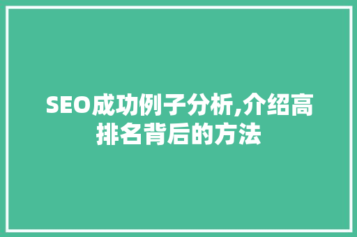 SEO成功例子分析,介绍高排名背后的方法