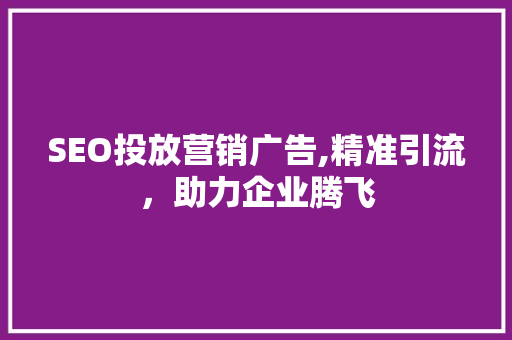 SEO投放营销广告,精准引流，助力企业腾飞