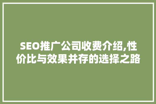 SEO推广公司收费介绍,性价比与效果并存的选择之路