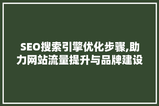 SEO搜索引擎优化步骤,助力网站流量提升与品牌建设