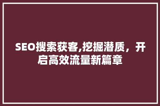 SEO搜索获客,挖掘潜质，开启高效流量新篇章