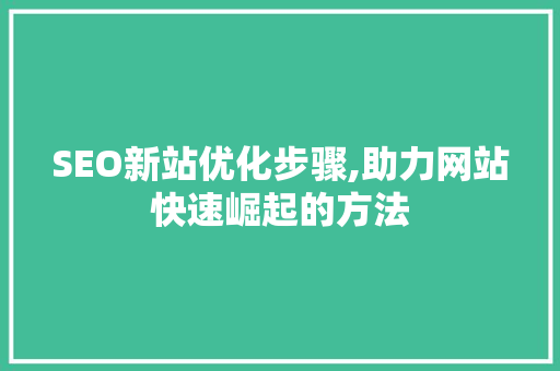 SEO新站优化步骤,助力网站快速崛起的方法