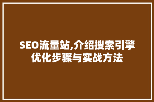 SEO流量站,介绍搜索引擎优化步骤与实战方法