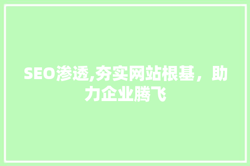 SEO渗透,夯实网站根基，助力企业腾飞