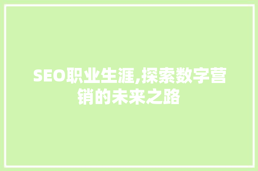 SEO职业生涯,探索数字营销的未来之路