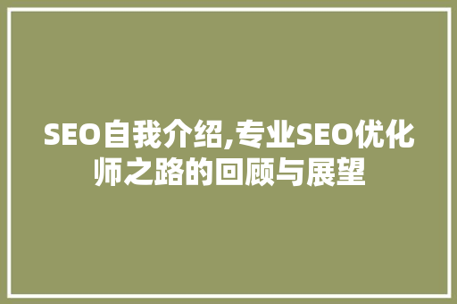 SEO自我介绍,专业SEO优化师之路的回顾与展望