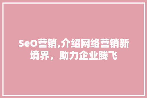 SeO营销,介绍网络营销新境界，助力企业腾飞