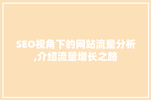 SEO视角下的网站流量分析,介绍流量增长之路