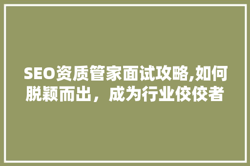 SEO资质管家面试攻略,如何脱颖而出，成为行业佼佼者