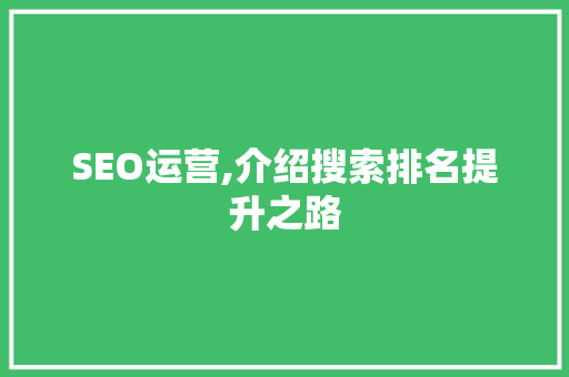 SEO运营,介绍搜索排名提升之路