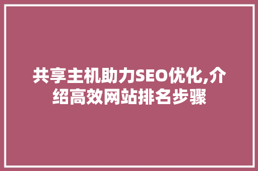 共享主机助力SEO优化,介绍高效网站排名步骤