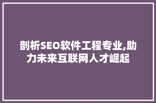 剖析SEO软件工程专业,助力未来互联网人才崛起