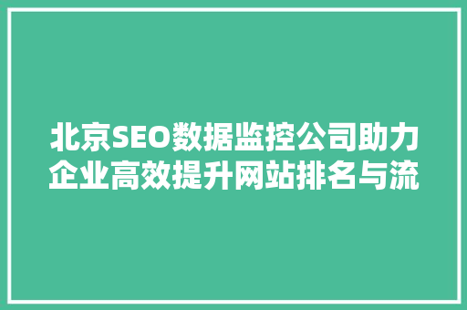 北京SEO数据监控公司助力企业高效提升网站排名与流量