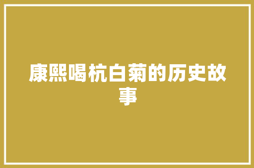 华越传媒SEO优化之路,助力企业品牌崛起的方法