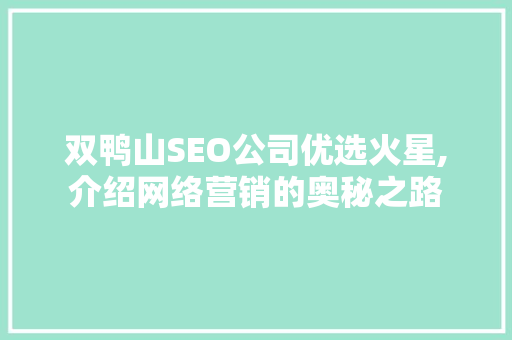 双鸭山SEO公司优选火星,介绍网络营销的奥秘之路