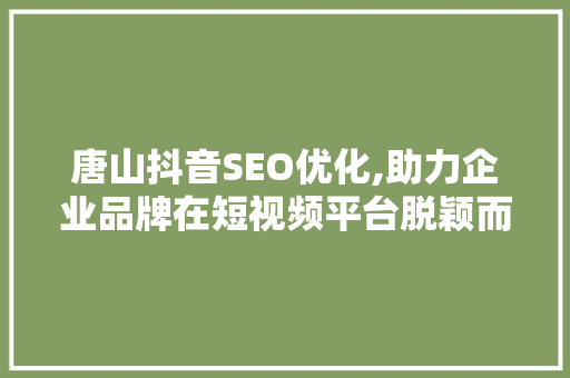 唐山抖音SEO优化,助力企业品牌在短视频平台脱颖而出