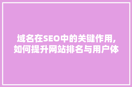 域名在SEO中的关键作用,如何提升网站排名与用户体验